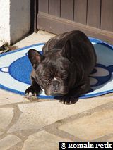 020320101145 020320101145