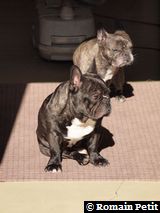 020320101147a 020320101147a