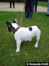 271020041735c 271020041735c