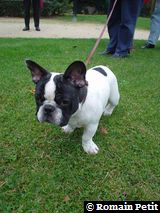 271020041735f 271020041735f