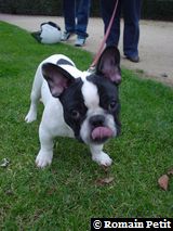 271020041738h 271020041738h