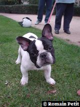 271020041738j 271020041738j