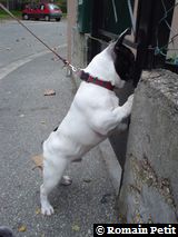 271020041753c 271020041753c