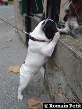 271020041753d 271020041753d