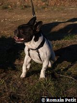 271220071512e 271220071512e