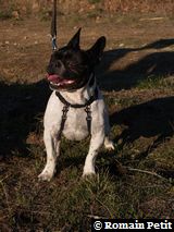 271220071512f 271220071512f