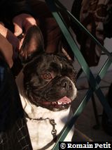 271220071528b 271220071528b