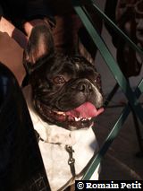 271220071528c 271220071528c