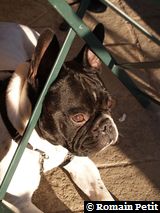 271220071543 271220071543