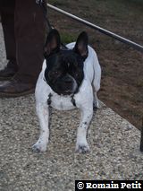 271220071635c 271220071635c