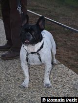 271220071635d 271220071635d