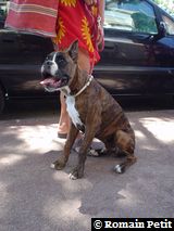 070820041350e 070820041350e