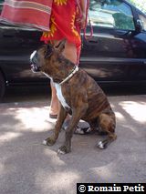 070820041350f 070820041350f