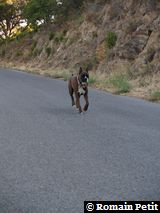 160820051826e 160820051826e