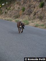 160820051826f 160820051826f