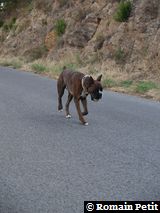 160820051826g 160820051826g