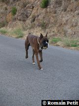 160820051826h 160820051826h