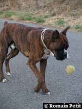 160820051826i 160820051826i