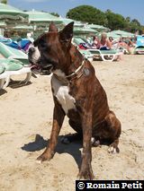 190820051345a 190820051345a