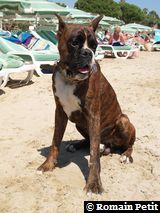 190820051345b 190820051345b