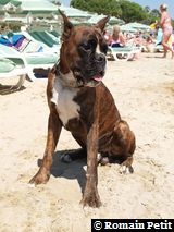 190820051345c 190820051345c