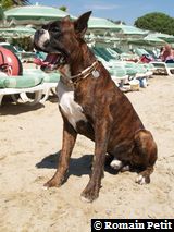 190820051345j 190820051345j