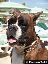 190820051346b 190820051346b