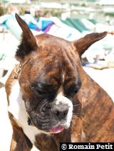 190820051346c 190820051346c