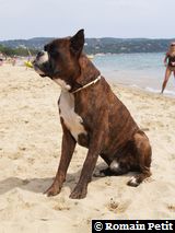 150820061332c 150820061332c