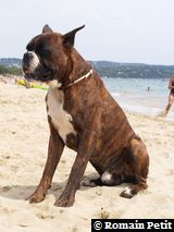 150820061332d 150820061332d