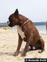 150820061332g 150820061332g