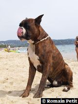 150820061332h 150820061332h