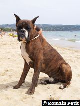 150820061333a 150820061333a