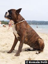 150820061333c 150820061333c