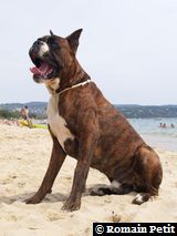 150820061333d 150820061333d