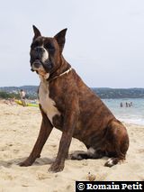 150820061333e 150820061333e