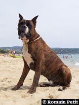 150820061333f 150820061333f