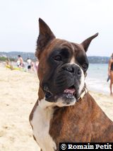 150820061333i 150820061333i