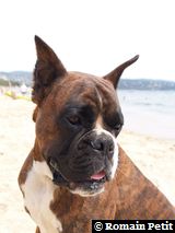 150820061333j 150820061333j