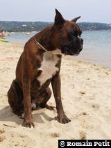 150820061337b 150820061337b