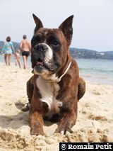 150820061339a 150820061339a