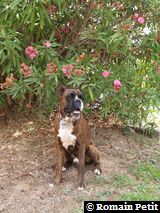 190820071315a 190820071315a