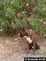 190820071315b 190820071315b