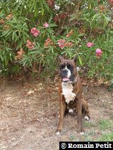 190820071316a 190820071316a