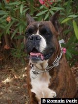 190820071316b 190820071316b