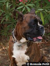 190820071316c 190820071316c