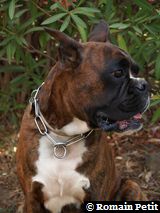 190820071316d 190820071316d