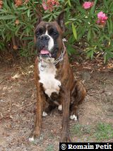 190820071316e 190820071316e