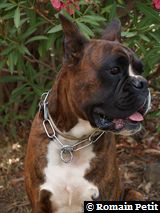 190820071316f 190820071316f