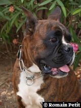 190820071316g 190820071316g